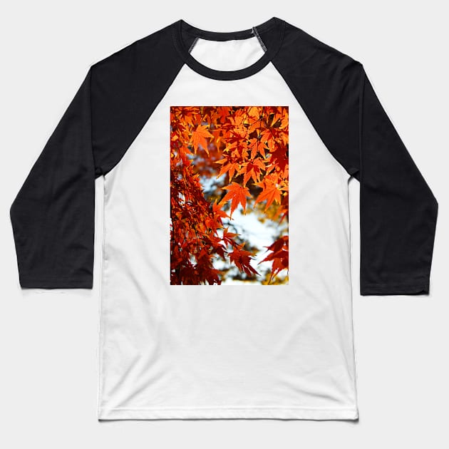 Autumn Colours 6 Baseball T-Shirt by WaterGardens